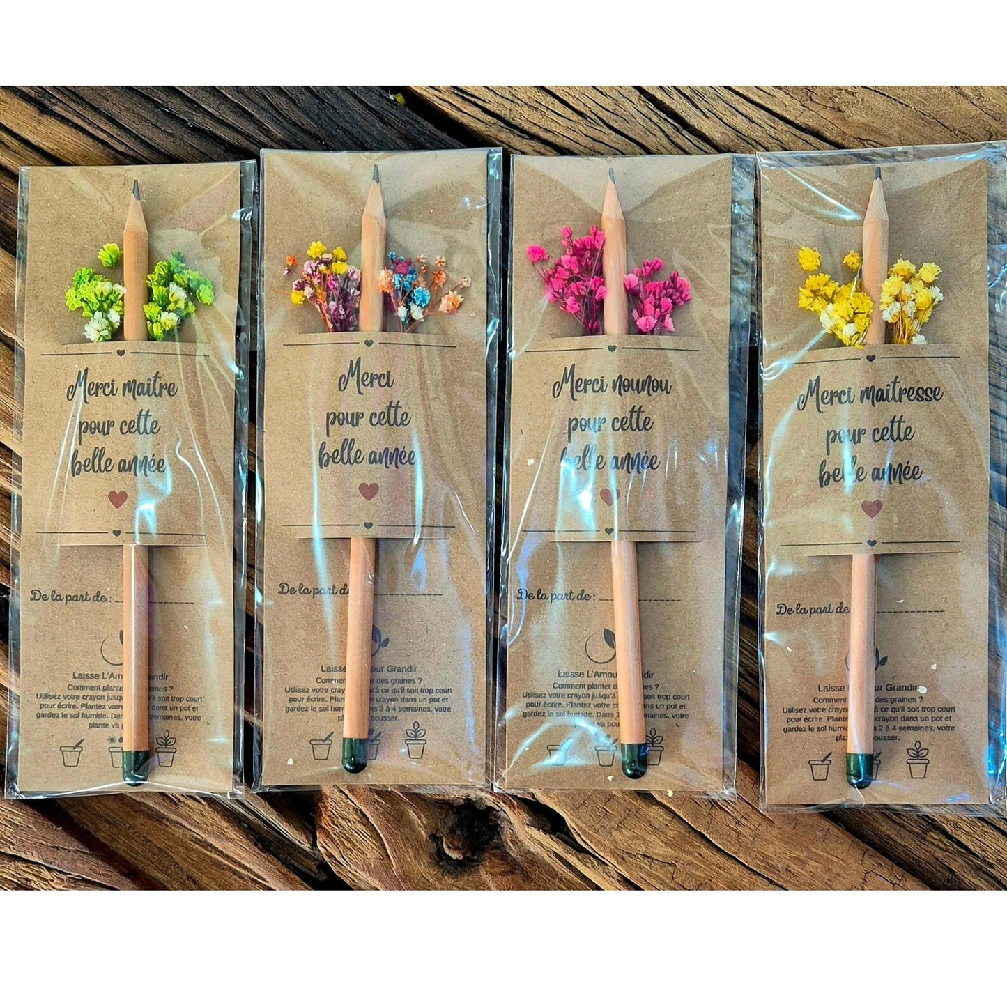Crayon à planter – Cadeau fin d’année scolaire Merci maîtresse ATSEM maître nounou | Cadeau écologique enseignant